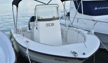 barco Triton Boats 195 CC 2006