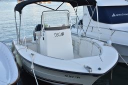 TRITON195 CC + MERCURY VERADO 135 HP