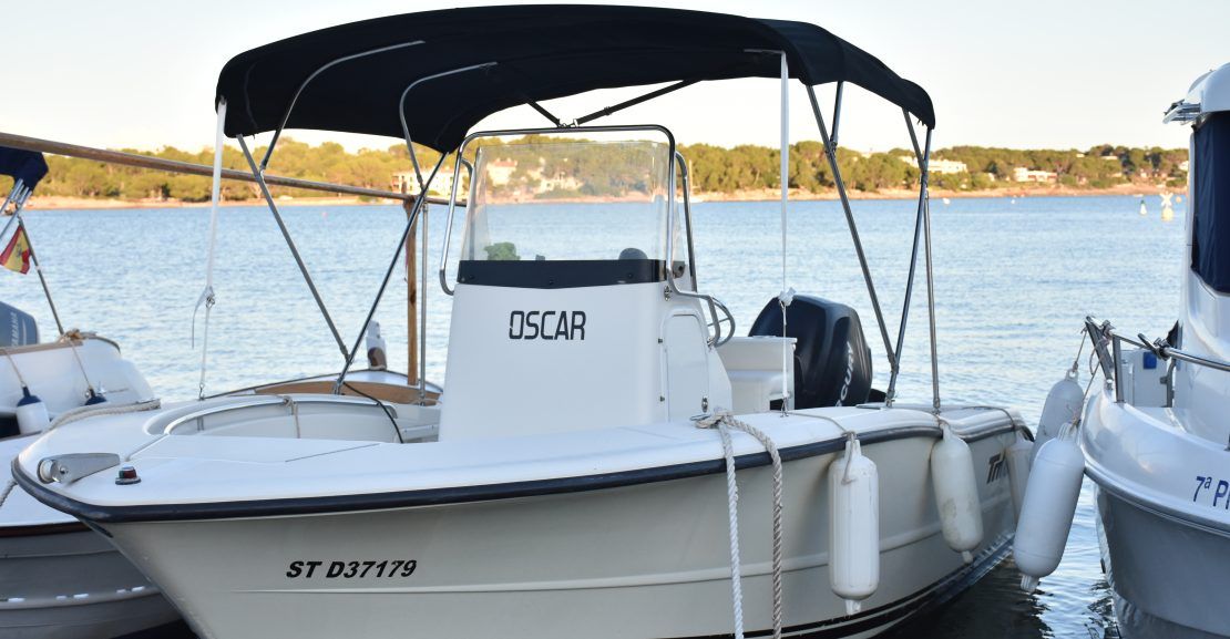 Triton Boats 195 CC 2006