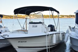 TRITON195 CC + MERCURY VERADO 135 HP