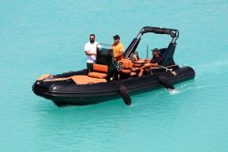 TIGER MARINE 650TL TOPLINE