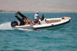 TIGER MARINE 650TL TOPLINE