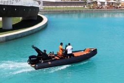 TIGER MARINE 650TL TOPLINE