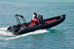 NEUMATICA TIGER MARINE 740PL PROLINE