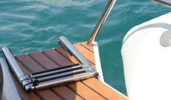 tiger marine proline 620 9