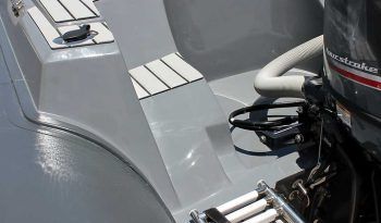 tiger marine sportline 520