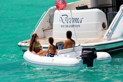 TIGER MARINE PROTENDER 340