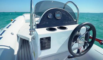 tiger marine 440 3