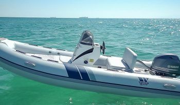 tiger marine 440 5