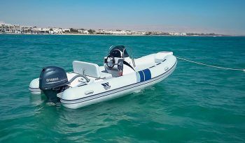 tiger marine 440 6