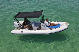 TIGER MARINE 550 PROLINE