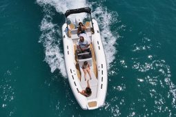 TIGER MARINE 550 PROLINE