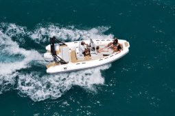 TIGER MARINE 550 PROLINE