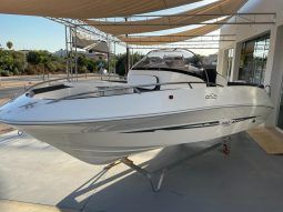 GALIA 520 CON MOTOR TOHATSU 60 + REMOLQUE