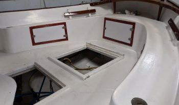 IMG-20240612-WA0011