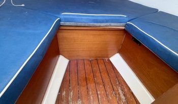 IMG-20240614-WA0009