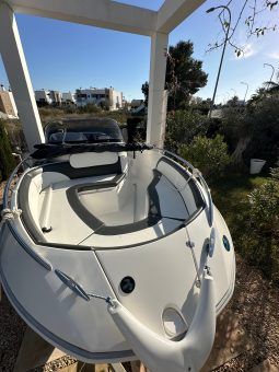 GALIA 520 CON MOTOR TOHATSU 60 + REMOLQUE