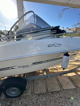 GALIA 520 CON MOTOR TOHATSU 60 + REMOLQUE