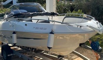 galia-520
