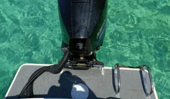 IMG-20240719-WA0026
