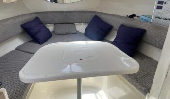 GOBBI 265 CABIN (16)