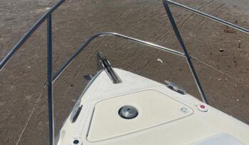 GOBBI 265 CABIN (21)