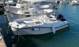 V2 BOAT 5.0 SPORT