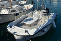 V2 BOAT 5.0 SPORT