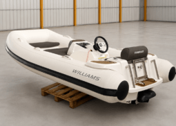 WILLIAMS TURBOJET 325 (2011)