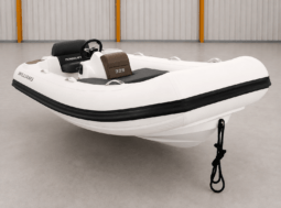 WILLIAMS TURBOJET 325 (2011)