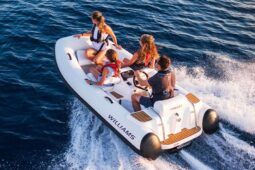 WILLIAMS TURBOJET 325 (2011)
